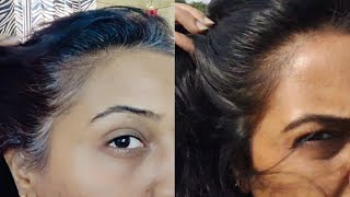 Indigo powder  लौंग  Tea  Alovera gel  No dryness Natural Hair Colour  Indigo Remedy with twist [upl. by Gasperoni]