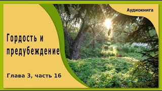 Гордость и предубеждение  аудиокнига глава 3 часть 16 [upl. by Ahsircal348]