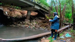 ACÁ TE ROBAN Pesca en Rosario bajo la lluvia pesca urbana [upl. by Wildermuth]