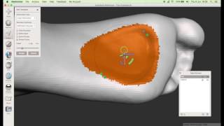 Foot Orthotics for Gensole Using Meshmixer [upl. by Ahsercel99]