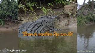 Queensland FNQ Mossman Gorge and Daintree National Park [upl. by Aleydis]