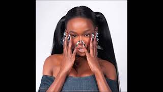 Azealia Banks  New Bottega Clean Version [upl. by Quent]