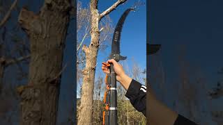 You can stand down from this argestable saw and cut down a tall tree shortvideo [upl. by Ibloc53]