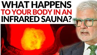 THIS is What Happens To Your Body in an Infrared Sauna  Dr Steven Gundry [upl. by Atnuahsal]