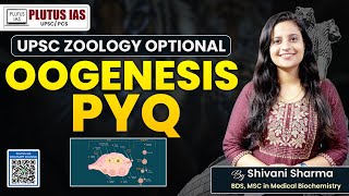 PLUTUS IAS  Oogenesis PYQ Explained  Zoology Optional for UPSC by Shivani Sharma upsc zoology [upl. by Aztirak]