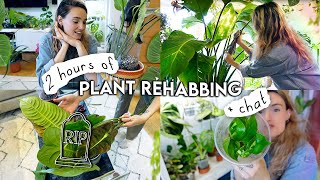 🔔 2 Hours Of Houseplant REHAB 🌱 Repotting Propagating Styling Rehabbing  Organising Plants [upl. by Ignazio]