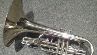 Introducing The Mellophone [upl. by Cnahc]