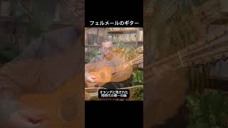 フェルメールのギターはどんな音？フェルメールのギター 組曲 D マイナー より アルマンド lute guitar [upl. by Dowdell]