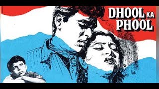 Dhool Ka Phool 1959 Evergreen Songs [upl. by Hamian496]