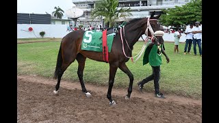 JAMAICA RACING Magnificent Force Finally Gets It Right In Sat Jun 22 2024 [upl. by Aimit]