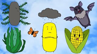 FIND the JELLYBEANS How to get ALL 6 NEW Jellybeans CORN BAT SEAWEED BAD DAY BUTTERFLY Roblox [upl. by Nahk]