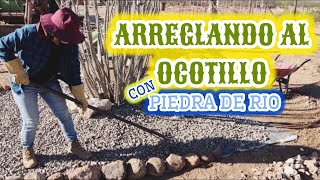 63BANCALES con BLOCKSDECORAR CON PIEDRAS DE RIO AL OCOTILLOTINACO de 15000 LTS🌵 [upl. by Aioj]