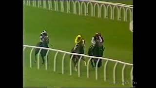 1988 Rokeby Farms Mill Reef Stakes [upl. by Itsirk]