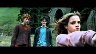 POTTER  Hermione punches Draco [upl. by Nilad]