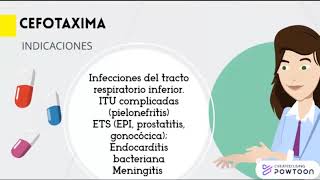 Grupo 1 Familia de fármacos antibacterianos [upl. by Lovato]