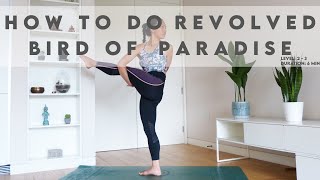 How To Do Revolved Bird of Paradise  Parivrtta Svarga Dvijasana  Lydia Lim Yoga [upl. by Anairo]