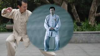 陳春華 Chen Chunhua  陳式混元24式太極拳 ChenStyle Hunyuan 24 Taijiquan  2 懶紮衣 [upl. by Seafowl]