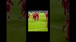 this year is Liverpool players celebrating after scoring against Newcastle United last night [upl. by Divadnahtanoj387]