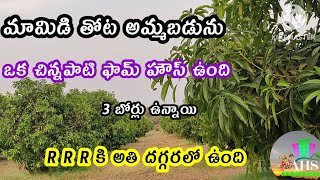 Mango garden for sale Near By R R RFarm House Availableahsproperties4267 [upl. by Nabe]