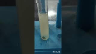 Reaction of Silver Nitrate with Copper  Displacement Reaction [upl. by Inna]