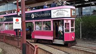 Tram arriving at Seaton station [upl. by Rhoads]