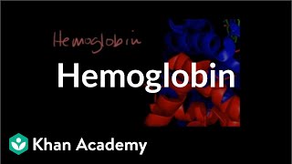 Hemoglobin  Human anatomy and physiology  Health amp Medicine  Khan Academy [upl. by Nodroj783]