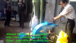 Domestic usecorn flour hammer millgrain grinder machine AWF001 [upl. by Caesar531]