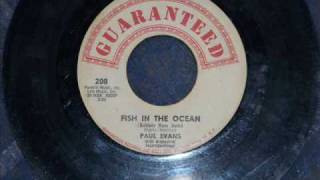 Paul Evans  Fish In The Ocean [upl. by Hollister]