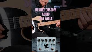 Bennettcustomaudio guitarist fender guitarpedals guitarra pedalboard guitarplayer guitar [upl. by Raynell]