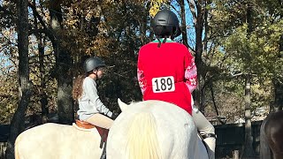 Germantown Charity Horse Show Vlog [upl. by Tatum]