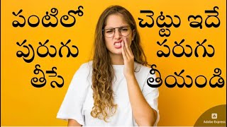 Health tips in telugu  pippiPannuNoppi  kantakari ఈ మొక్క కోసం పరుగులు తీయాల్సిందే [upl. by Irish57]