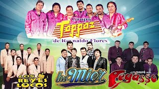 LOS MIER  GRUPO PEGASSO  GRUPO TOPPAZ  LOS REYES LOCOS 40 RECUERDOS DEL AYER GRANDES EXITOS [upl. by Olbap]