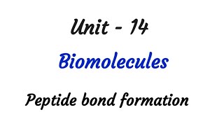 Peptide bond formation  Biomolecules  TN 12th chemistry  Unit 14  Biomolecules in tamil [upl. by Annek]