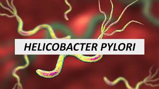 Microbiologia Médica  Helicobacter pylori [upl. by Lanti]