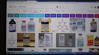 Diethylstilbestrol DES Pentobarbital Phenobarbital Zika Virus 2018 [upl. by Myrle371]