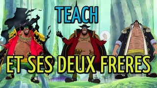 BARBE NOIRE A DEUX FRERES JUMEAUX  ONE PIECE THEORIE [upl. by Beatty]