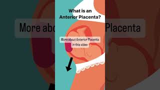 What is Anterior Placenta pregnant [upl. by Sherlocke940]