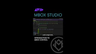 MBOX Studio [upl. by Haimehen]