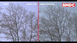 SONY FS7 4K VS A7S 1080P [upl. by Lennaj]