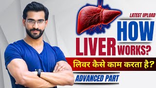 Advanced Part How Liver Works लिवर कैसे काम करता है [upl. by Warthman]