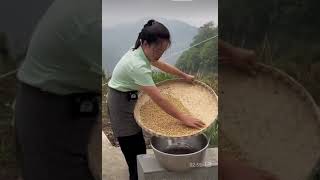 Traditional agriculture – the heartbeat of rural China [upl. by Streeter]