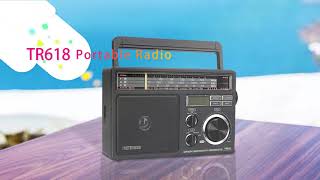 Retekess TR618 Portable Radio Supports USB Port SD Card Slot Easy to Use for the Elderly [upl. by Oilerua832]