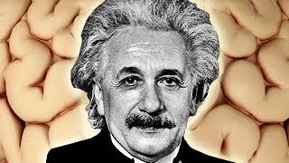 Einstein Brain Secret Revealed  Mind Blow 72 [upl. by Cohby]