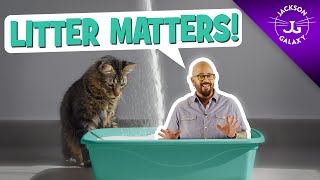 Litter Box Issues Why Litter Matters [upl. by Melissa]