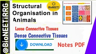 Connective Tissue 3  Loose amp Dense NEET Biology NCERT [upl. by Solracesoj]