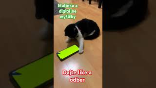 Mafinka a digitálne myšičky cat shorts [upl. by Erbas]