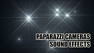 Paparazzi Camera Sound Effects 📸 Camera Sounds [upl. by Cronin]