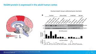 Bridging Gaps in CNS Disorders The Power of Human Stem Cell Models [upl. by Rednav]