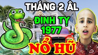 Tử Vi Tuổi Đinh Tỵ 1977 Tháng 2 Âm Trời Ban Lộc Lớn Trúng Lớn Bỗng Đổi Đời Cực Giàu Sang  LPTV [upl. by Rothschild]