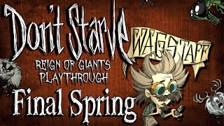 Wagstaff  Final Spring Dont Starve Reign of Giants Playthrough Ep14 [upl. by Elagibba931]